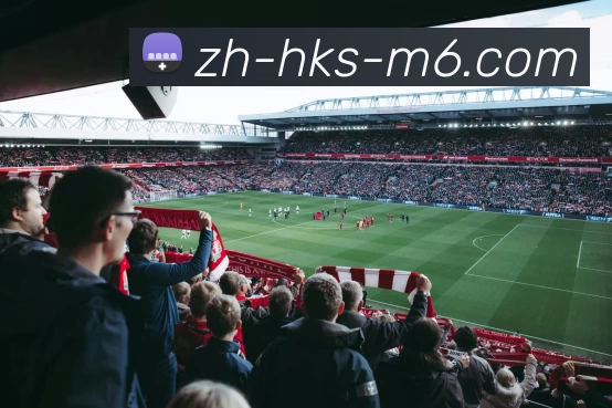 M21体育投注平台APP 封面图